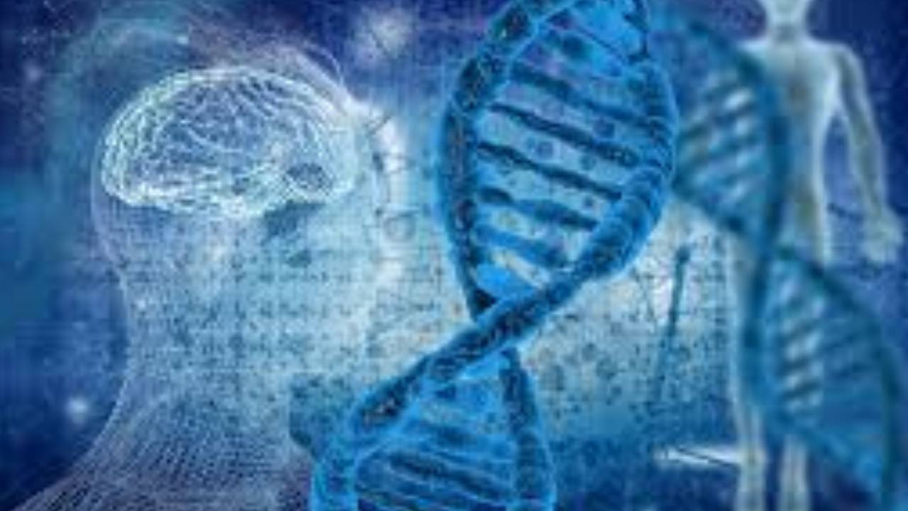 WhatsApp Image 2025-06-18 at 12 (73)