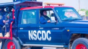 WhatsApp Image 2025-06-18 at 12 (86)