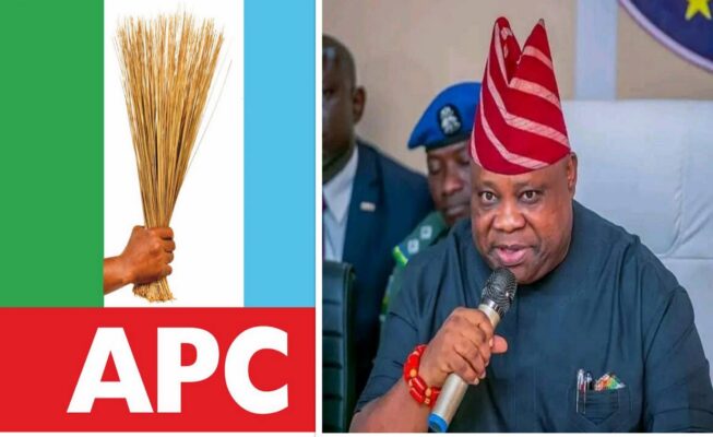 OPINION: Who are the Musketeers Masquerading for Adeleke in APC?