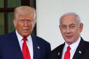 New Project – 2025-07-01T084125.449