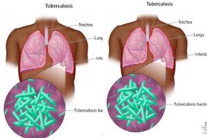 New Project – 2025-07-01T133355.712