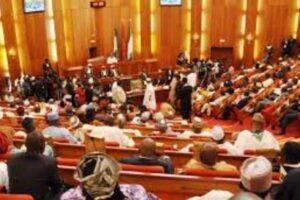 New Project – 2025-07-01T151744.622