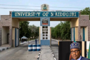 Education Ministry Hails Buhari’s Legacy as UNIMAID Renamed in His Honour