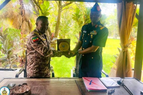 NAF, Ethiopian Air Force Deepen Defence Ties, Explore Joint UAV Production