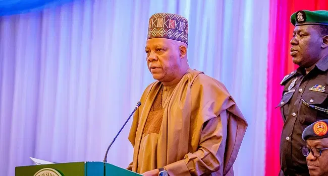 VP Shettima’s book launch remarks not linked to Fubara’s suspension – Presidency