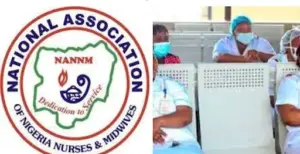 Nurses Union counters Minister, insists strike continues
