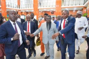 Amupitan during Senate Screening