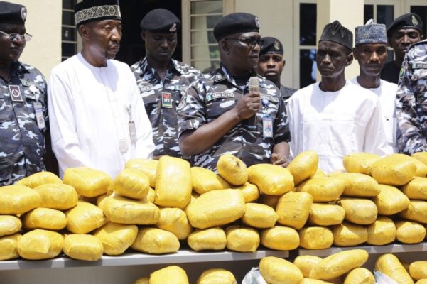 Recovered-suspected-canabis-1045×696