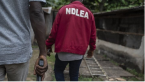 Screenshot 2025-10-28 at 15-25-43 One injured as ‘drug traffickers’ attack NDLEA army operatives in Edo TheCable