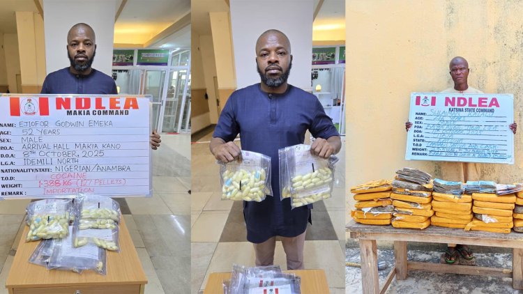 Popular Businessman Excretes 127 wraps of cocaine at Kano Airport