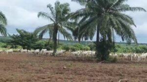 WhatsApp Image 2025-11-15 at 17.27.19_b73b61c4