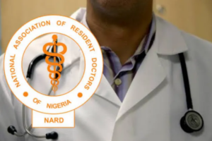 New-Project-2022-08-08T155233.539