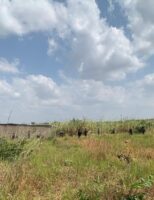 Troops in Kogi Forest