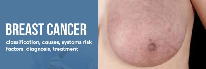 WhatsApp Image 2025-12-05 at 11.42.35_df1f4edd