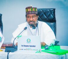 WhatsApp Image 2025-12-08 at 4.23.51 PM