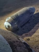 WhatsApp Image 2025-12-26 at 12.36.10 PM (1)