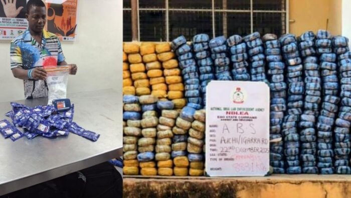 image_750x_69506dc604b03