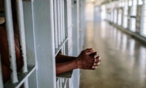 WhatsApp Image 2026-01-01 at 9.04.12 AM