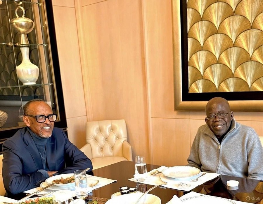 Why Tinubu -Kagame Paris meeting Image Carries Grok Watermark – Presidency