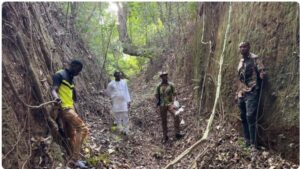 US Embassy Awards $400k Grant To Preserve 14th-Century Sungbo Eredo Earthworks In Ogun