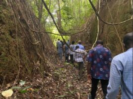 WhatsApp Image 2026-01-28 at 3.14.14 PM