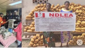 image_750x_695a401f6ad29