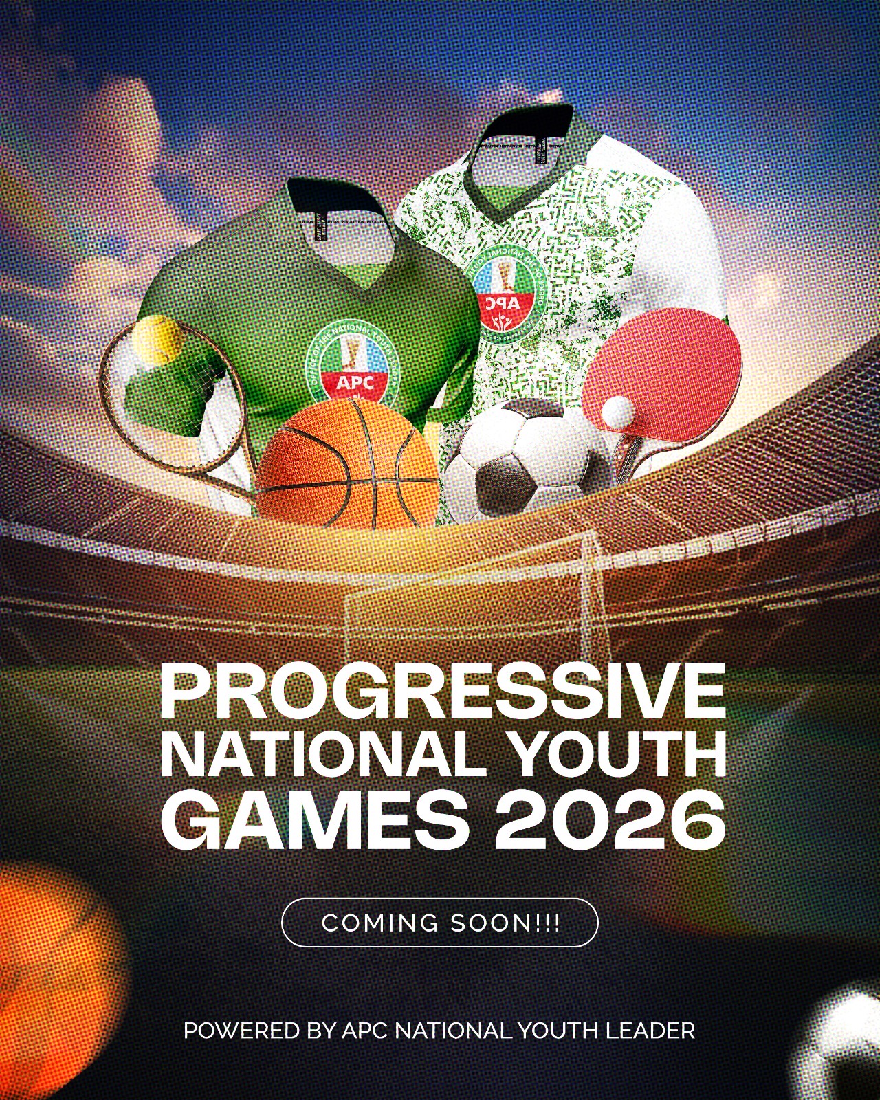 Nigeria Olympic Committee Commends Tinubu’s Sports Vision