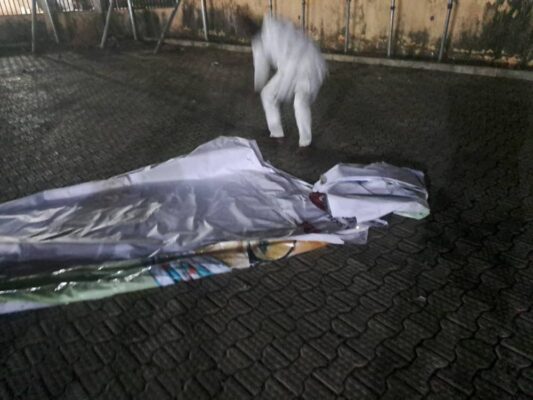 WhatsApp Image 2026-02-10 at 10.04.44 PM (1)