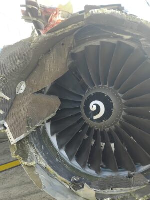 WhatsApp Image 2026-02-11 at 11.33.36 AM