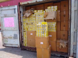 WhatsApp Image 2026-02-12 at 7.39.40 AM