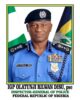 IGP Tunji Disu